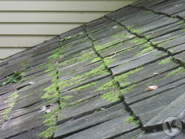 BEFORE: Cedar Roof Washing Specialists Do Their Thing (Eden Prairie, MN)