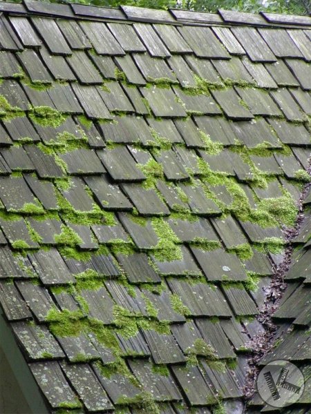 BEFORE: Mossy Cedar Roof Before Professional Cleaning in Edina