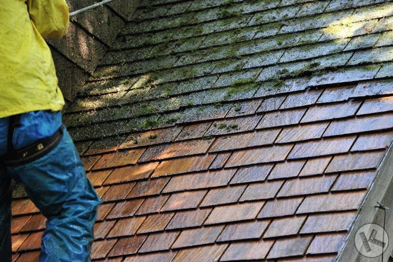 Removing Moss From a Cedar Roof in Minneapolis