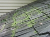 BEFORE: Cedar Roof Washing Specialists Do Their Thing (Eden Prairie, MN)
