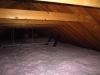 attic-fiberglass-insulation