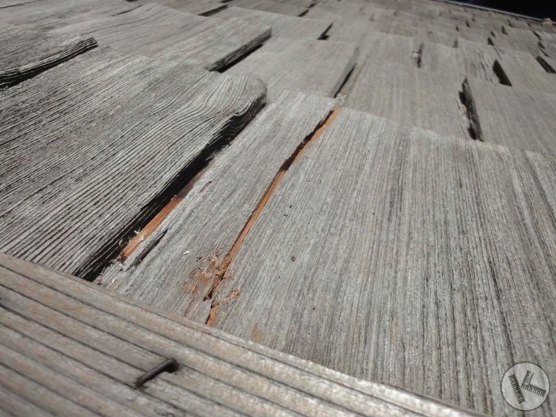 Fresh Hail Damage on Cedar Roof in Eden Prairie