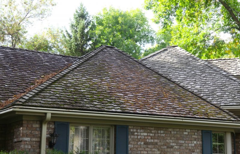 Mossy cedar shake roof replacement in Edina roof was rotten Kuhl before