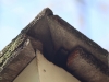 Bats & Mice Getting into Minneapolis Home Through Roof Corner