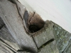 Hole in Roof from Animals and Squirrels (Edina, MN)