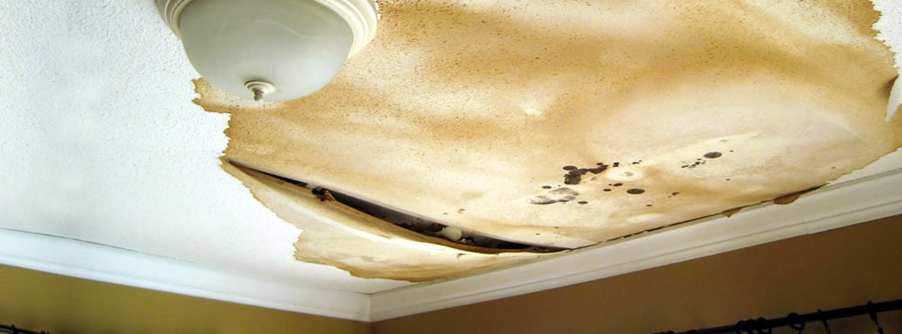 Water Damage Inspections