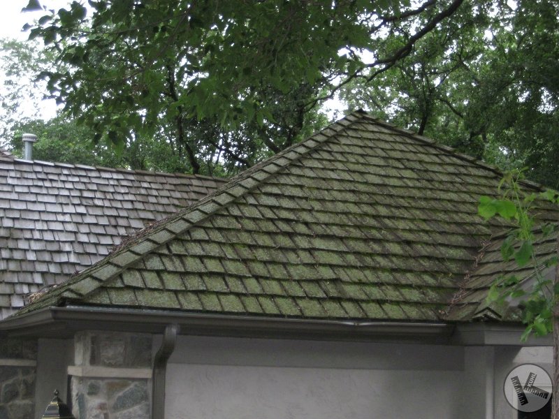 BEFORE: Close-up, Professional Cedar Roof Cleaning (Eden Prairie, MN)