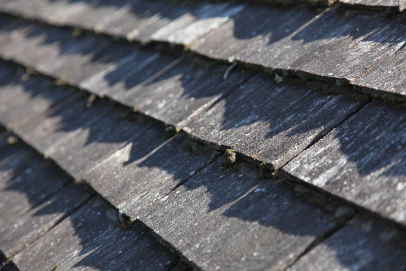 Dirty moldy wood roof in minnetonka cleaning service 2