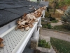 Leaf Relief Gutter Debris Management System