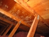 signs-of-attic-frost