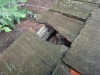 Animals in the Attic! (Cedar Roof Damage in Edina)