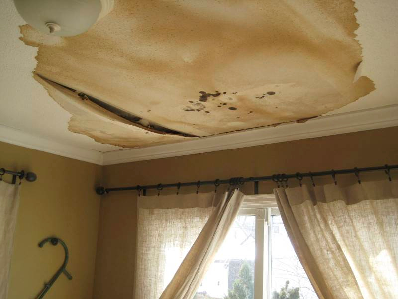 7 Tips To Prevent Water Damage And Mold From Household Leaks