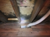 Minneapolis roof leak causes bad mold problem