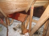 Wood roof leak caused by animal damge in Minneapolis