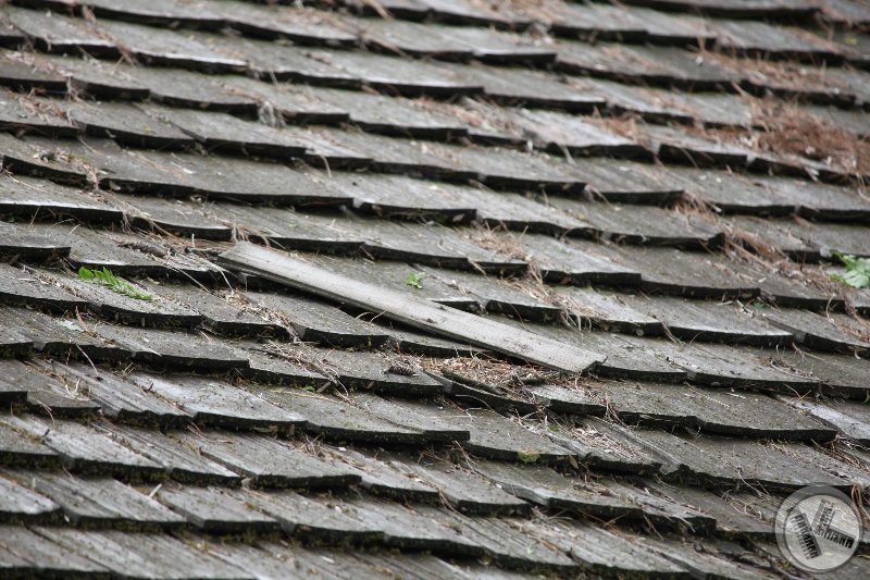 Cedar Roof Damage from Storm in St Paul
