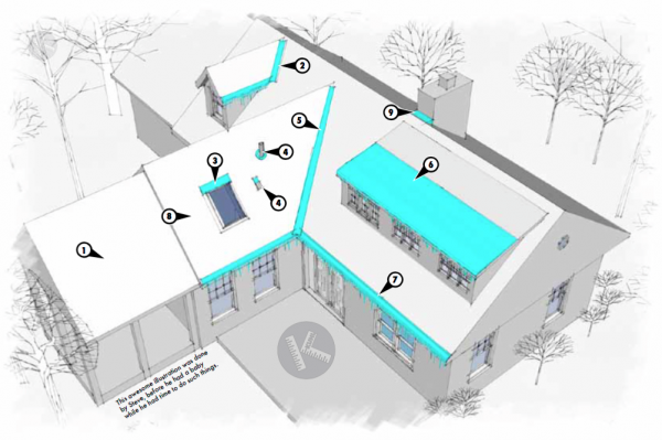 Case Study 11