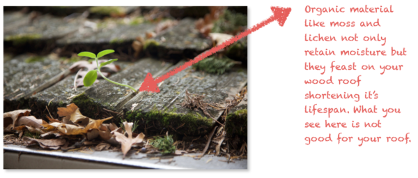 Moss Cedar Shake Roof